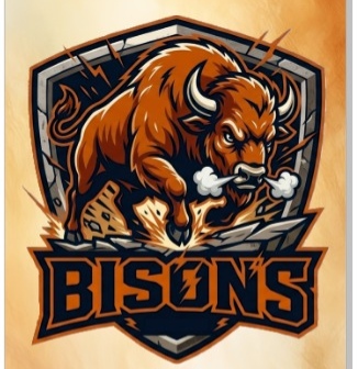 Bisons logo